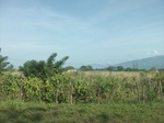 5861100_1531.JPG
