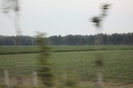 2024-08-05_16-08-56_A7CD627D-37B9-4B20-8020-796B767E1431.jpeg