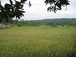 14554IMG_4920.JPG