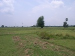 28241RIMG0241.JPG