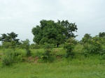 18745P1000583.JPG