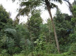 13834IMG_4100.JPG