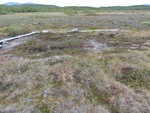 25000DSC00067.JPG