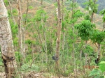 53556CIMG6906.JPG