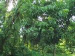 1696910052008(39).JPG
