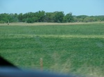 29174CIMG0656.JPG