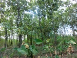 31444CIMG1308.JPG