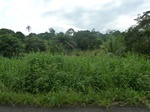 20427P1020284.JPG