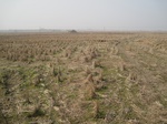 8442IMG_0267.JPG