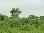 20373P1020230.JPG