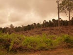 54880Berau (166).JPG