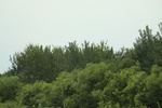 2024-08-05_16-28-18_A11C8D33-828D-4F79-8E8A-0FB40FC7202D.jpeg