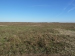 40358P1010527.JPG