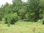 29635CIMG0905.JPG