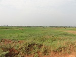26739DSC00946.JPG