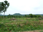18429P1000265.JPG