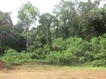 47499CIMG3836.JPG