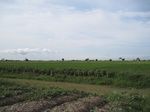 14286IMG_4626.JPG
