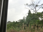 49865CIMG6202.JPG