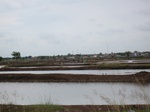 14484IMG_4843.JPG