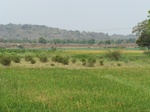 1686702052008(26).JPG