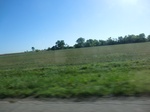 29088CIMG0570.JPG