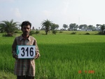 131380316d-rainfed-agriculture-rice.gif