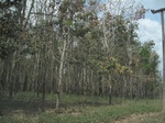 27871IMG_4875.JPG