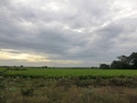 56030CIMG6719.JPG