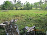30018IMG_5363.JPG