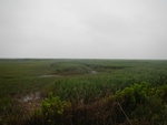 54509DSCN1791.JPG