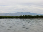 38565CIMG0094.JPG