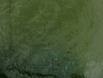 58065CIMG2359.JPG