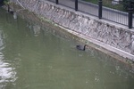 2024-11-21_17-01-43_0184BD01-5A66-4B8A-9F98-A731D694A873.jpeg
