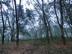 52875CIMG4955_调整大小.JPG