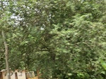 49285CIMG5622.JPG