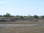 487502052008(69).JPG