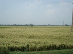 21854DSC08441.JPG
