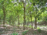 17506100_2761.JPG