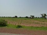 18963P1000807.JPG