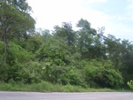 34595RIMG0061.JPG