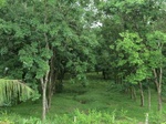 34825CIMG1483.JPG