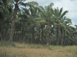 27872IMG_4876.JPG