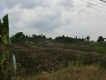 31565CIMG1431.JPG