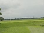 22105DSC00346.JPG