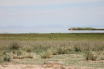 38822Canon Aug 1 098.jpg