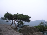 442920071011gps 029.jpg