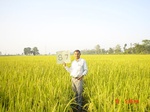 11273gt087-cropland-1.jpg