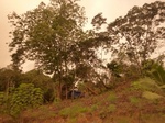 54852Berau (140).JPG
