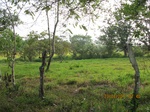 30039IMG_5361.JPG